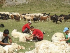 Ноос бэлтгэлийн явц, үнэ ханш, тулгамдсан асуудал