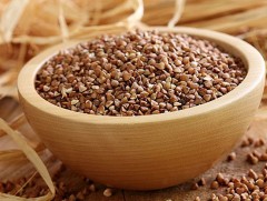 Ходоодонд тустай хүнс