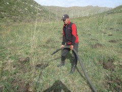 Дэлгэрхаан уулын ар хэсэгт 200 ширхэг хайлаас тарьж, хашаажуулжээ