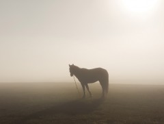 “Манан” хөгжимт зохиомж 