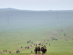 Г.Чинзоригийн хээр үрээ төрийн их баяр наадмын эрлийз дунд насны морьдын уралдаанд түрүүллээ
