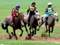 Эрлийз бага насны морьдын уралдаанд Жадамбын Болдын хул даага түрүүллээ