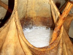 Хөхүүрийн шидэт ундаа