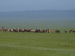 Г.Чинзоригийн хар үрээ Төрийн их баяр наадмын соёолонгийн уралдаанд түрүүллээ