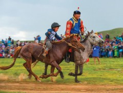 Ардын засгийн  наадмууд