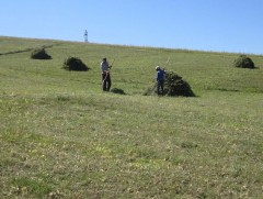 60 мянга 200 тонн өвс, 15 мянга гаруй тонн тэжээл бэлтгэнэ