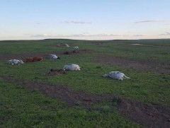 Дорноговийн Айраг, Даланжаргалан суманд үерийн улмаас үүссэн хохирлын хэмжээг тогтооно