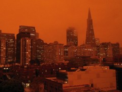 Сан-Франциско хот улбар шар өнгөтэй болжээ