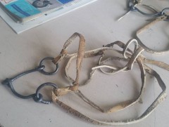 Б.Даш: Сур хийх арга нь Монголчуудын уламжлалт ухаан юм 