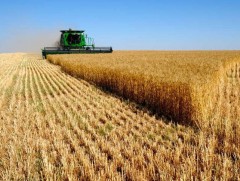 Ургац хураалт ба ажиллах хүчний хомсдол... 