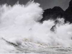 “Хайшэнь” хар салхи Японы баруун өмнөд нутгийг дайран өнгөрчээ