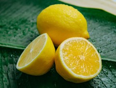 Элгэнд тустай 11 хүнс