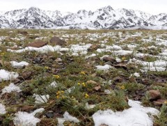 Сарын хуучийн тэнгэр