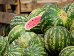 Узбекистан улсын тарвасын үйлдвэрлэл хямралд ороод байна