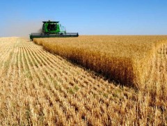 Намрын ургац хураалт үргэлжилж байна