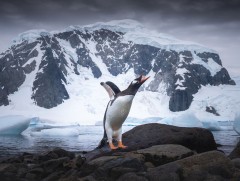 Антарктид тивийн нууц дуусашгүйг баталсан зургаан нээлт