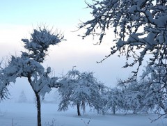 Ихэнх нутгаар цаг агаар хүйтэрнэ