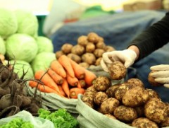 Төв аймагт хүнсний ногоог хямд үнэтэй худалдаалж эхэллээ