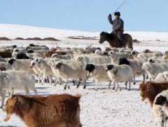 Эрсдэлийг бууруулах бэлэн байдлын төлөвлөгөө