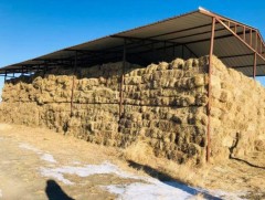 Төв аймгийн өвөлжилтийн бэлтгэл ажил 80 хувьтай байна