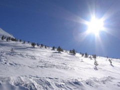 Шинэ сарын шинж