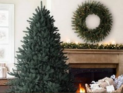 АНУ-д гацуур модны борлуулалт сайтай байна