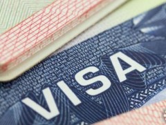 Гадаадын иргэнд цахимаар виз олгохыг дэмжиж байна