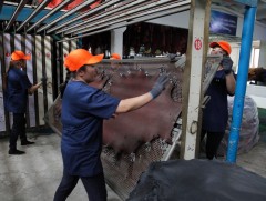 Суурь зардлыг төрөөс хариуцсанаар олон мянган ажлын байр хадгалах боломж бүрдлээ