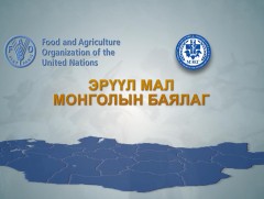 Эрүүл мал Монголын баялаг: 