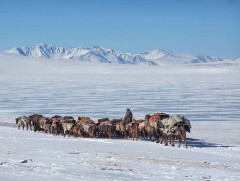 “Малчин” нэвтрүүлэг: Өвлийн өнгө