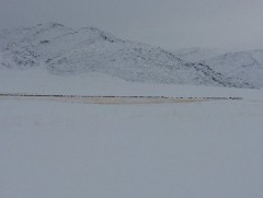 Төв аймгийн 14 сум зудын байдалд байна