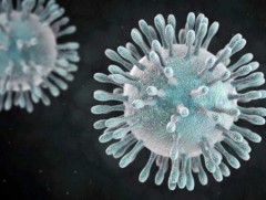 Халдвар битүү, агааргүй орчинд тархах эрсдэл хамгийн өндөр гэж үзлээ