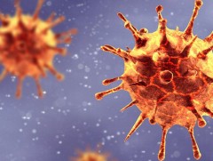 Вирус судлаачид: Коронавирус мутацид орж байгаад цочирдох шаардлагагүй