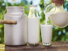 Сүүний цогцолбор үйлдвэр байгуулах боломжийг судлах ажлын хэсгийн хуралдаан боллоо