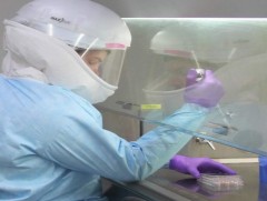 Дэлхийн хэмжээнд 