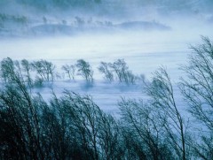Ойрын өдрүүдэд ихэнх нутгаар салхи шуургатай байхыг анхааруулж байна