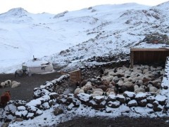 Долоон аймгийн 12 суманд хаваржилт хүндрэх төлөвтэй байна