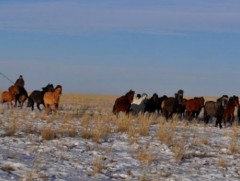 Отор буцах цаг