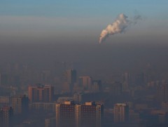 Автомашины утаа өмнөх жилүүдийнхээс дахин нэмэгдэж, 20 гаруй хувьд хүрчээ