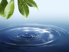 Усны үнэ цэнийг нэмэгдүүлж, нөөцийг нь хамгаалах хэрэгтэй байна 