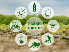 Газар тэнгэр: Буудайн үр ариутгалын тухай...