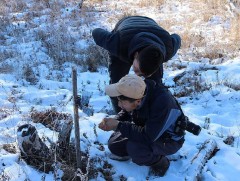 Эрээний нуруунд байгаль хамгааллын ажил явагдаж байна