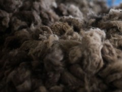 Ноолуурын үнэ