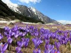 Тавдугаар сарын цаг агаарын ерөнхий төлөв