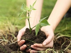 Эх дэлхийгээ хайрлая 