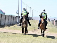 Морьт эргүүл ажиллаж эхэллээ