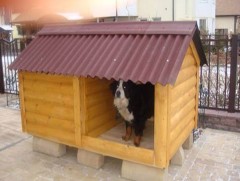 Сэтгэлээсээ барьсан үүр