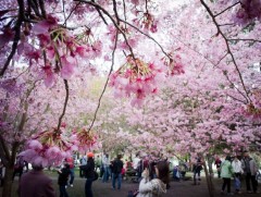 “Токио-2020” олимпын үеэр дотоодын үзэгчдээ цэнгэлдэхэд оруулах эсэхийг ирэх сард шийднэ