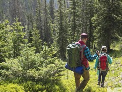 Нийслэлийн иргэдэд ууланд алхах боломж байна уу 