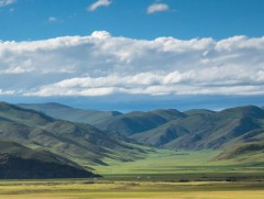 Өвгөрсөн газар шороо